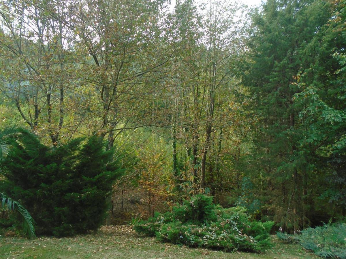 The Nest ~ Your Best Rest Sever do Vouga Esterno foto