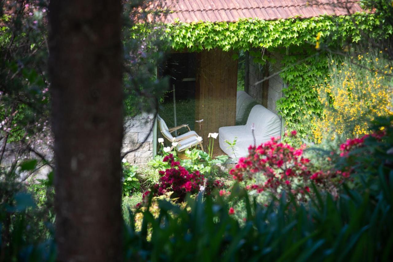 The Nest ~ Your Best Rest Sever do Vouga Esterno foto