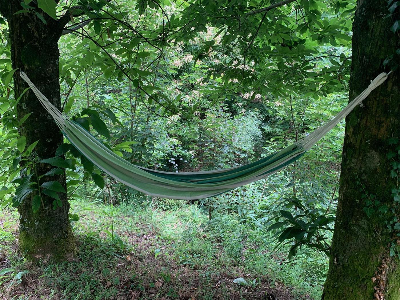 The Nest ~ Your Best Rest Sever do Vouga Esterno foto